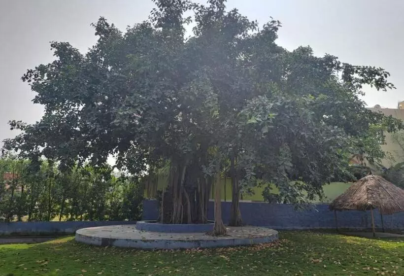Art Resort & Farm House