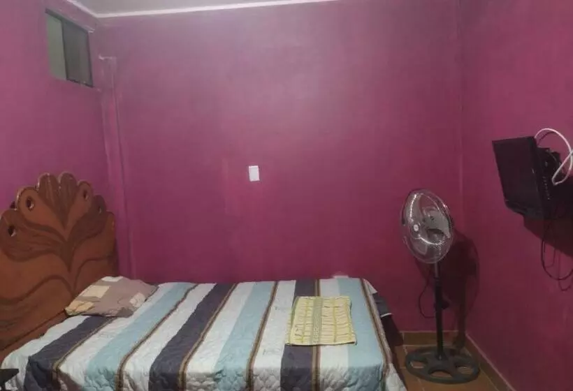 Flying Monkey Hostel