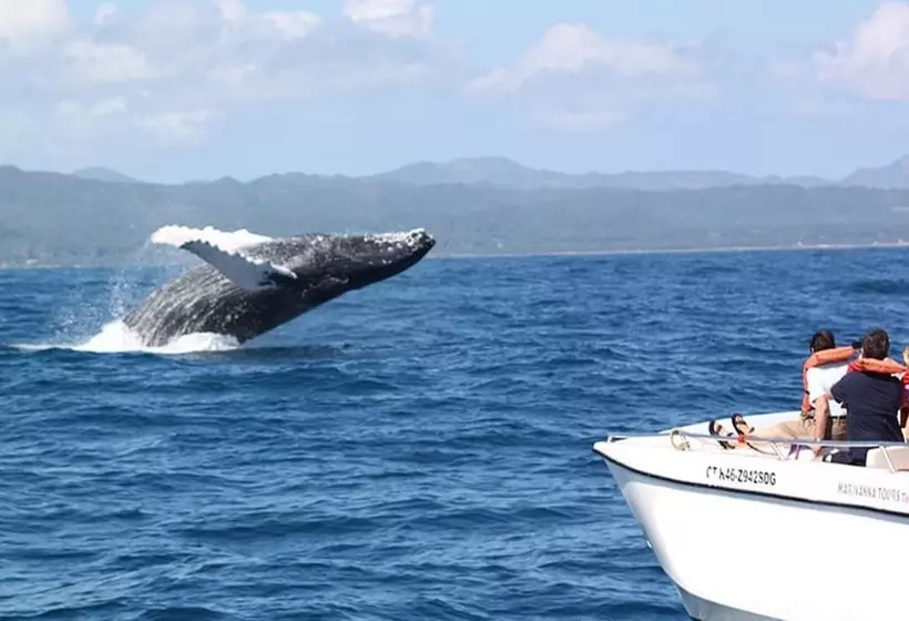 پانسیون Room In Guest Room  Best Bed And Breakfast In Samana Breakfast Included