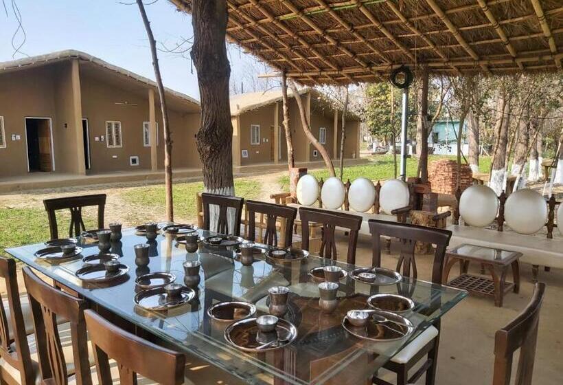 渡假胜地  Virsaa   The Captain S Mud Retreat