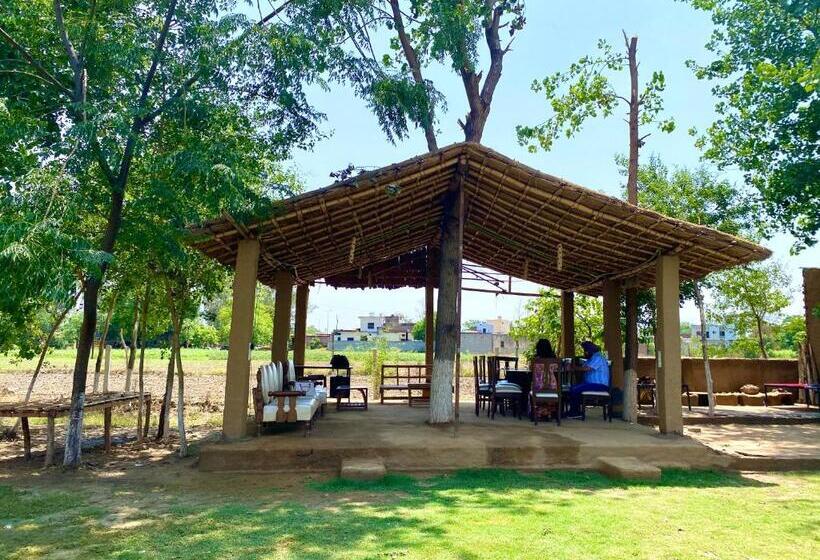 渡假胜地  Virsaa   The Captain S Mud Retreat