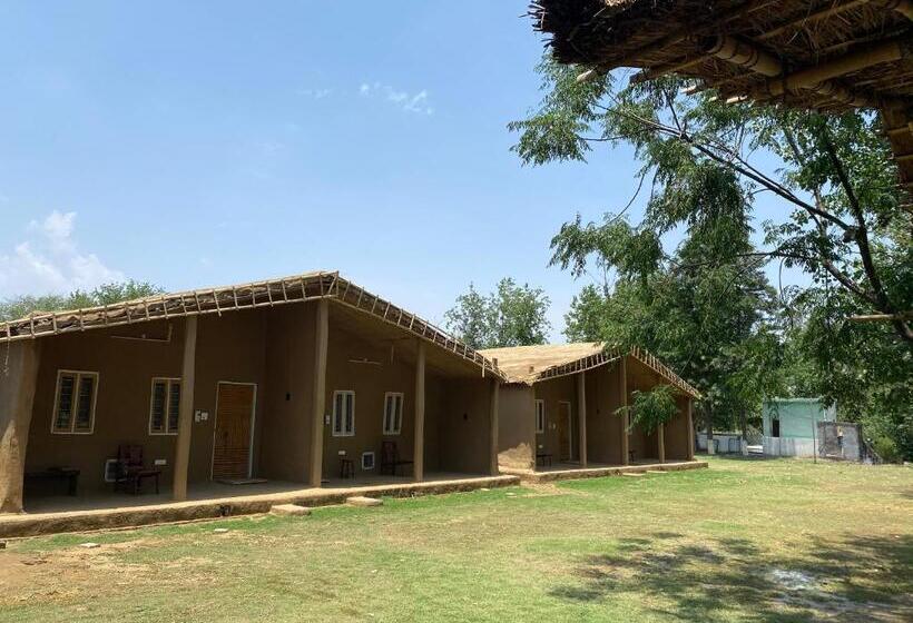 渡假胜地  Virsaa   The Captain S Mud Retreat