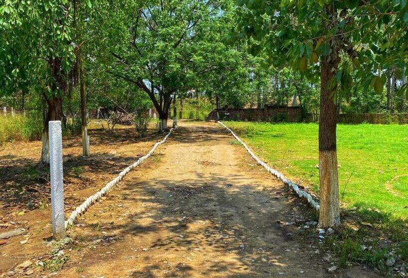 渡假胜地  Virsaa   The Captain S Mud Retreat