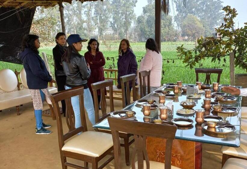 渡假胜地  Virsaa   The Captain S Mud Retreat