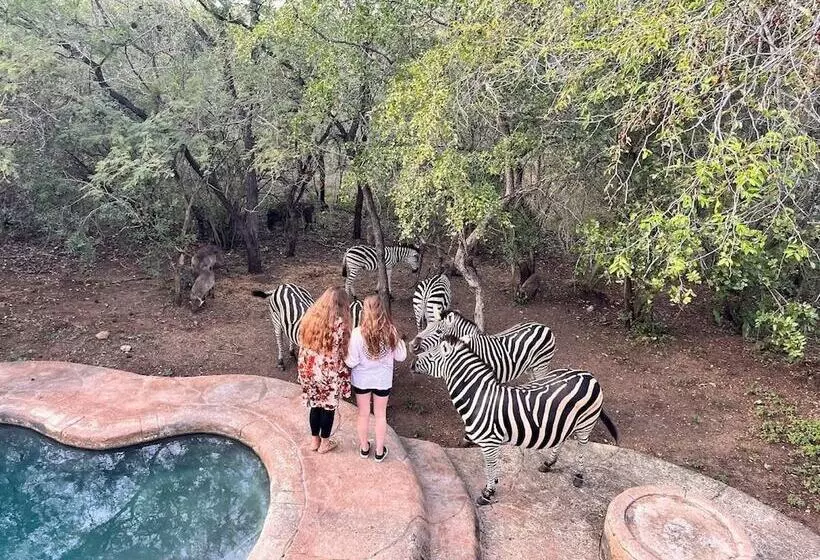 Kruger Park Hostel