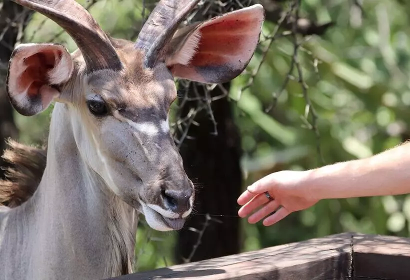 Kruger Park Hostel