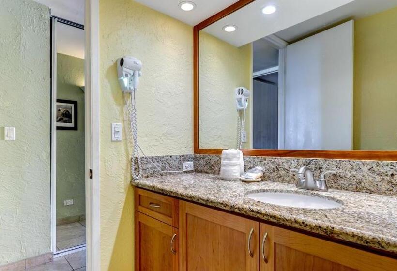 Papakea K303 2bed/2bath Stunning Ocean & Pool Views