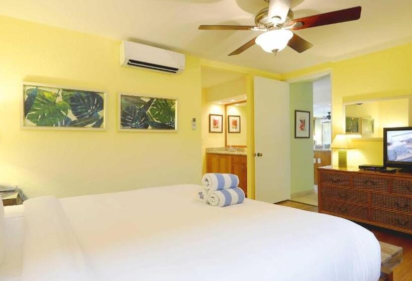 Papakea K303 2bed/2bath Stunning Ocean & Pool Views