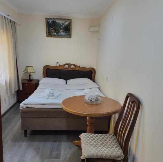 هتل Ani Guesthouse