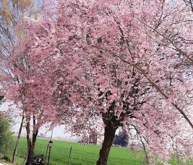 پانسیون La Corte Country Rooms