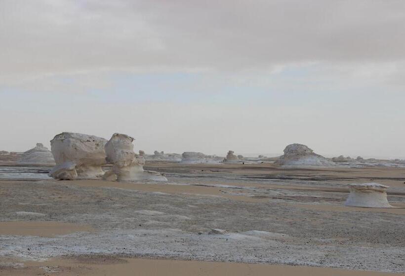 استراحتگاه Shahrazad Camp In White Desert, Egypt