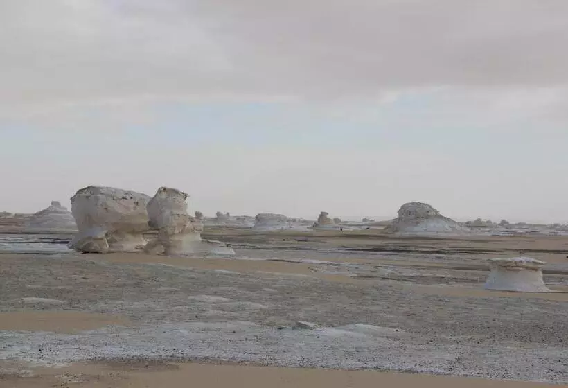 استراحتگاه Shahrazad Camp In White Desert, Egypt