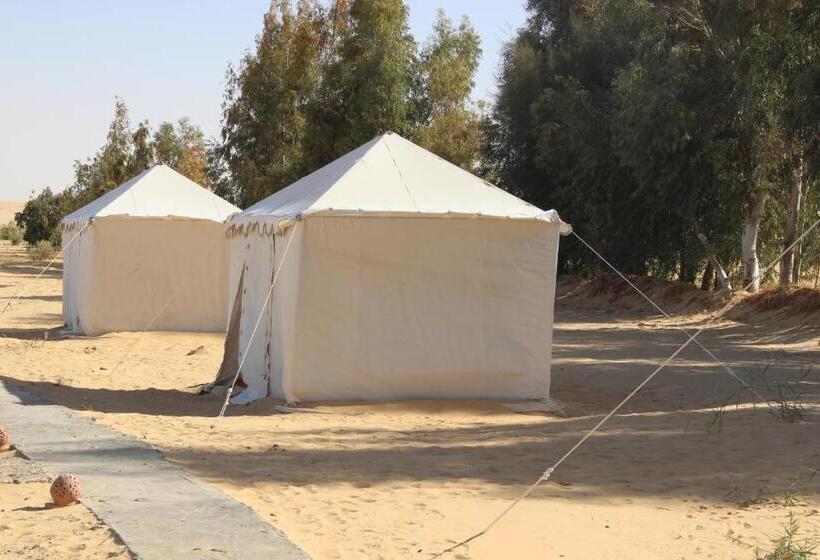 استراحتگاه Shahrazad Camp In White Desert, Egypt