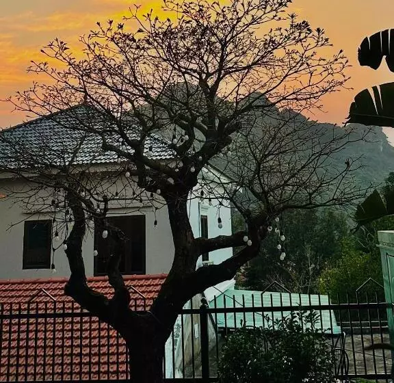 Eden Hotel Cát Bà