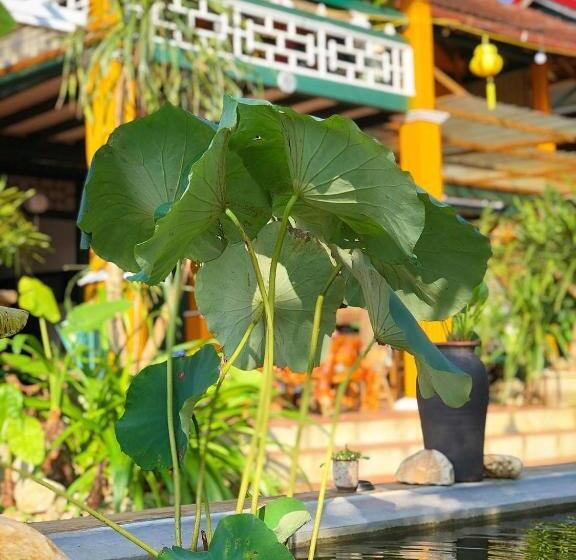 هتل Thênh Thang Home & Cafe