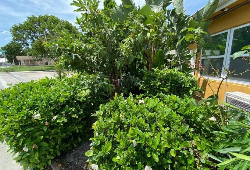 Glades Motel   Naples