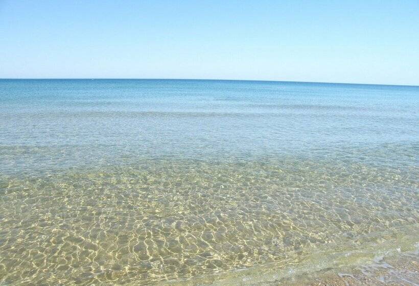 Отель B&b Albachiara