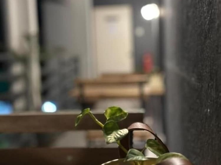 فندق Cassa Kaseh Guest House