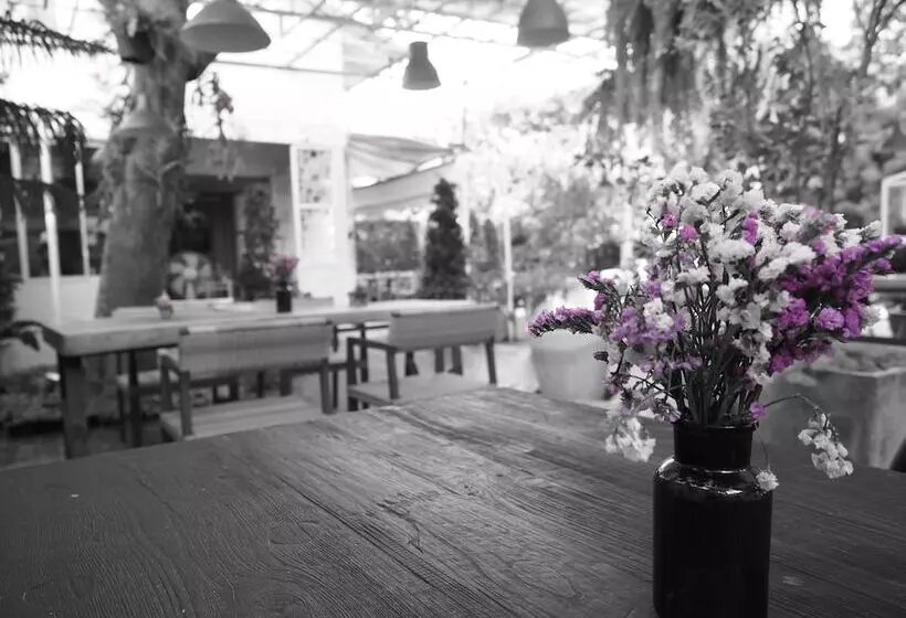 Hotel Costa Village Pool Villa