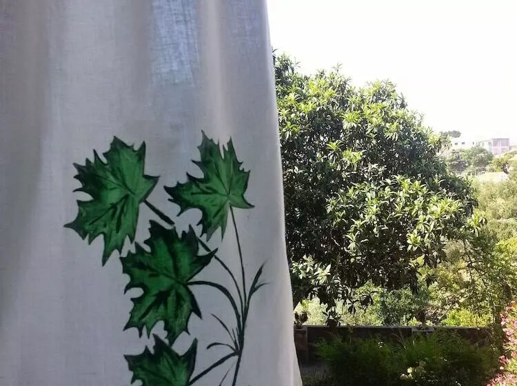 Hotel Csi Coimbra Club & Guest House