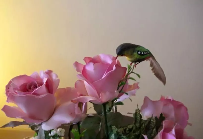 酒店 Lotus Suite Hua Hin