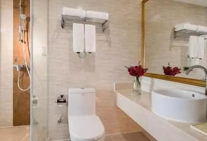 Vienna Hotel Heyuan Hongxing Road