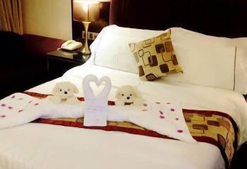 Vienna Hotel Heyuan Hongxing Road