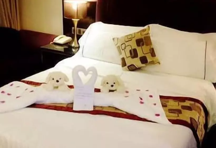 Vienna Hotel Heyuan Hongxing Road