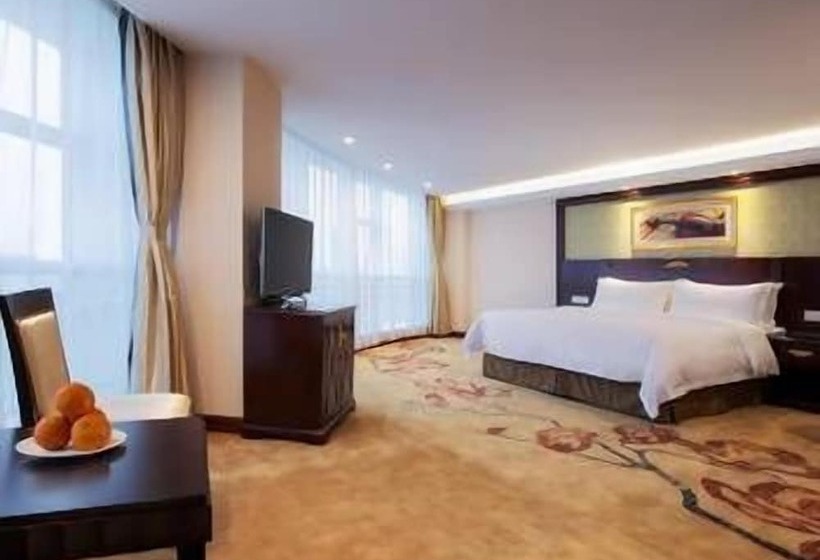 Vienna Hotel Heyuan Hongxing Road