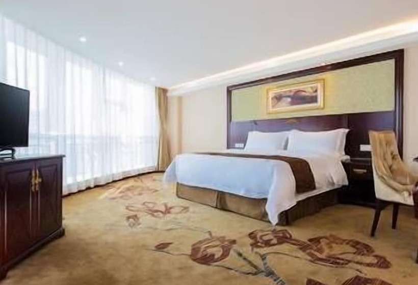 Vienna Hotel Heyuan Hongxing Road