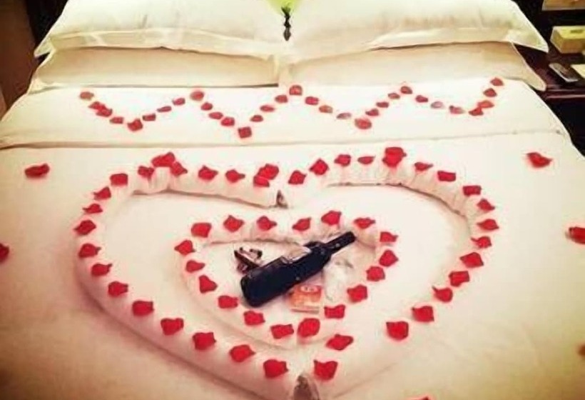 Vienna Hotel Heyuan Hongxing Road