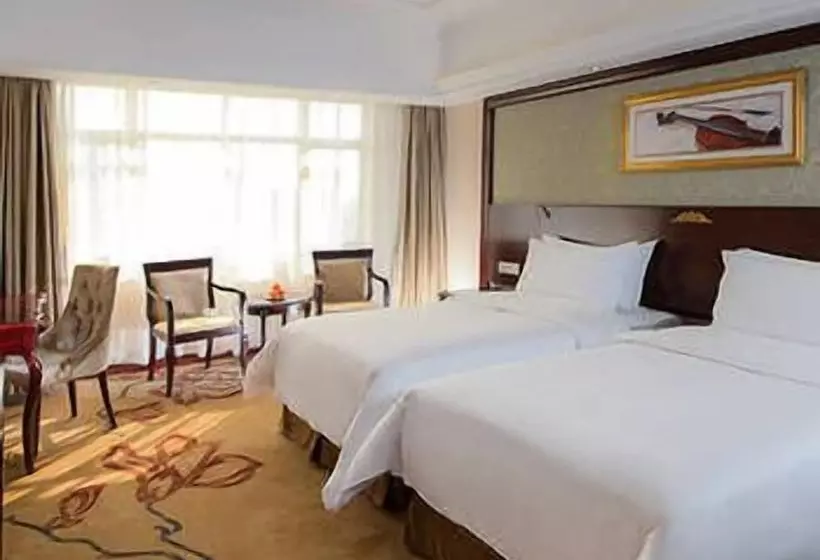Vienna Hotel Heyuan Hongxing Road