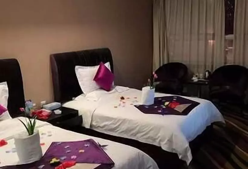 Vienna Hotel Heyuan Hongxing Road