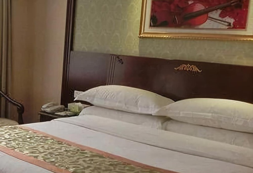 Vienna Hotel Heyuan Hongxing Road