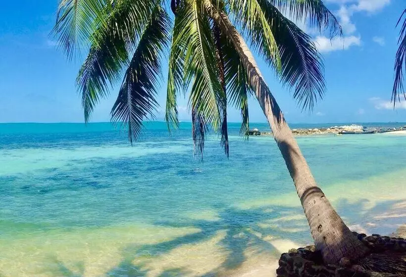 Sibaja Palms Sunset Beach Luxury Villa