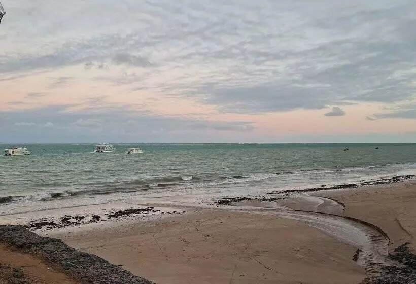 Amaranth Beach Class