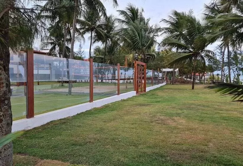 Amaranth Beach Class