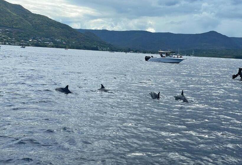 تختخواب و صبحانه Riambel Paradise Inn Private Apartment