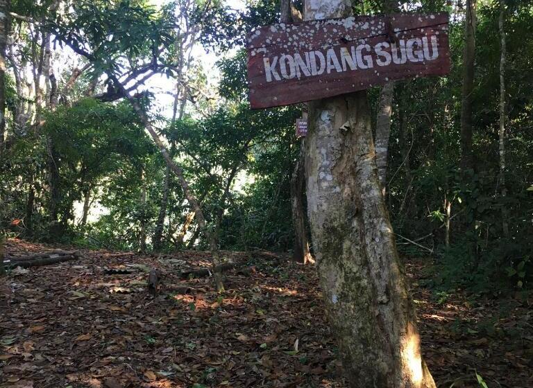 Отель Grand Miami