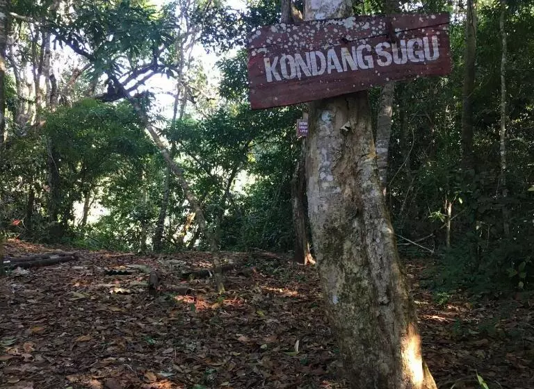 ホテル Grand Miami