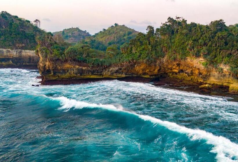 Отель Grand Miami