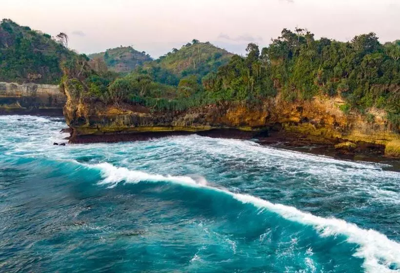 ホテル Grand Miami