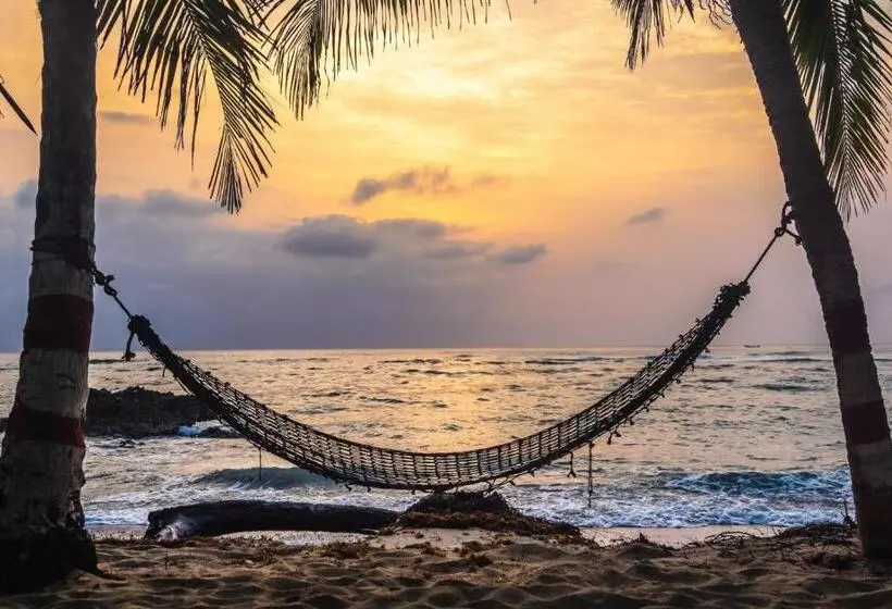 ホテル Grand Miami