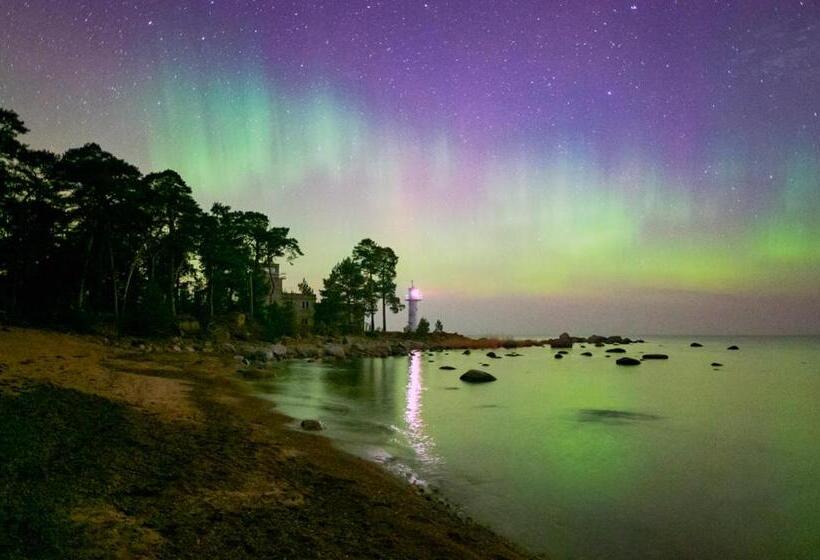 هتل Vergi Sadam & Restoran Wirkes