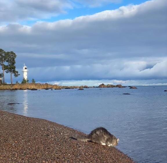 هتل Vergi Sadam & Restoran Wirkes
