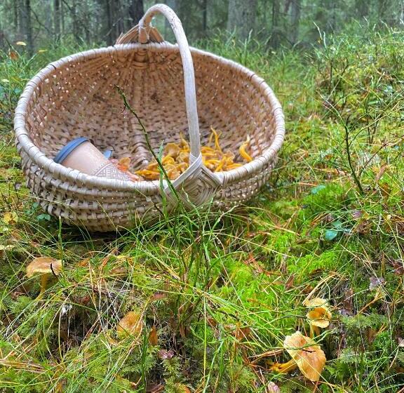 هتل Vergi Sadam & Restoran Wirkes