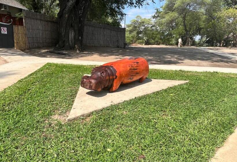 酒店 White Sands Lodge