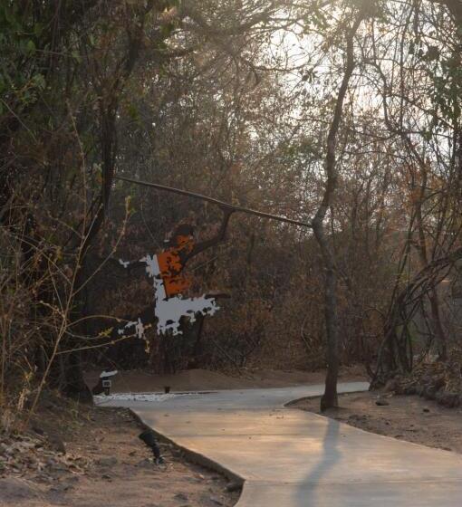 酒店 White Sands Lodge