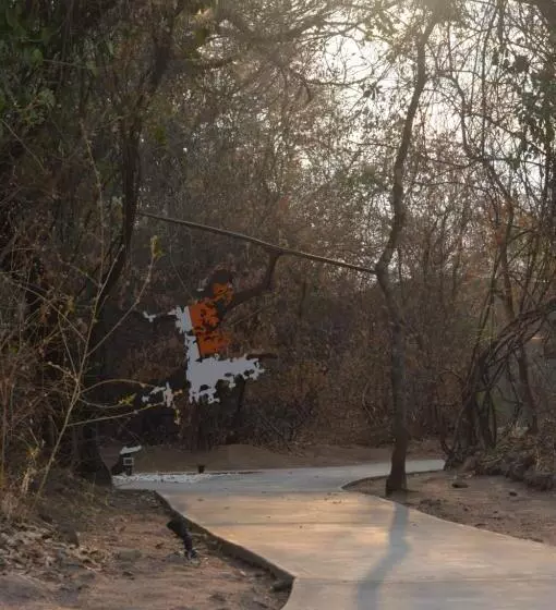 هتل White Sands Lodge