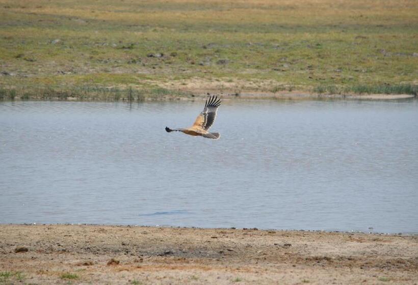 酒店 White Sands Lodge